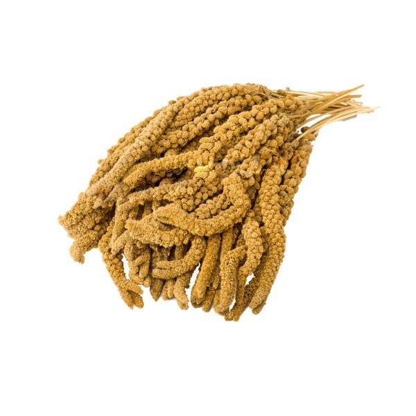 EuroGold Sarı Dal Darı 1 Kg