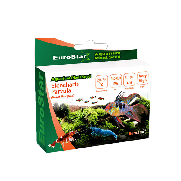 EuroStar Large Leaf Base Plant