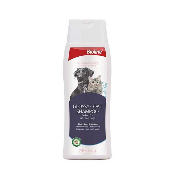 Bioline Yağlı Tüylü Kedi ve Köpek Şampuanı 250 Ml