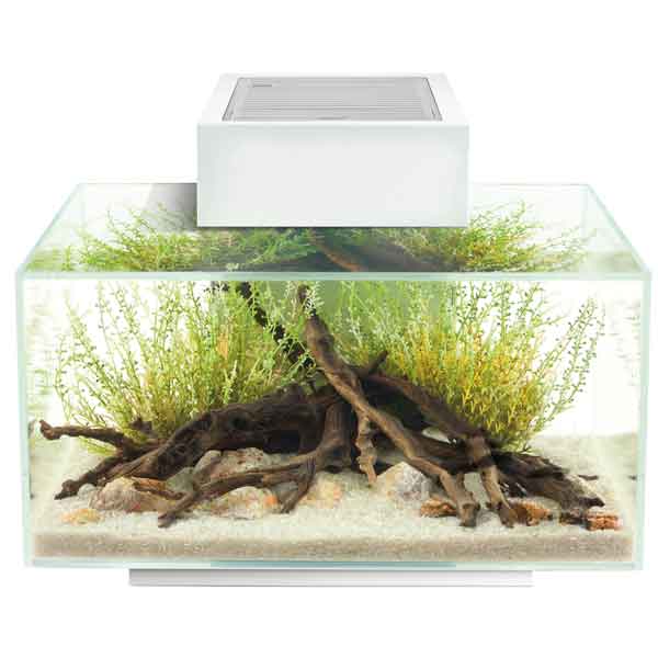 Fluval Edge2 Beyaz 23 L Akvaryum