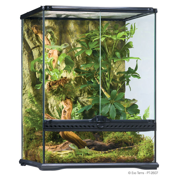 Exo Terra Teraryum 45x45x60 cm