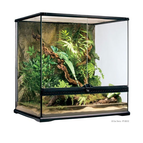 Exo Terra Teraryum 60x45x60 cm