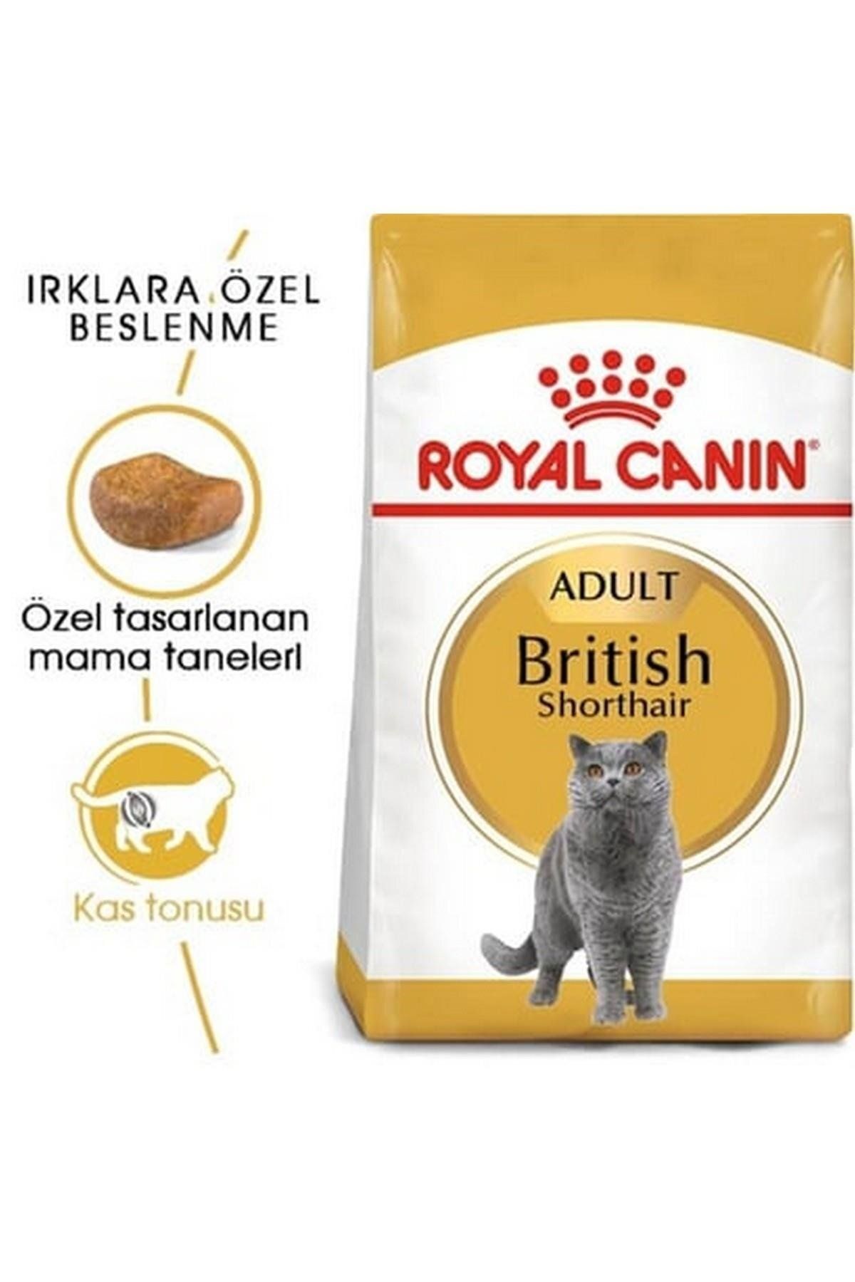 Royal Canin British Shorthair Yetişkin Kedi Maması 2 Kg