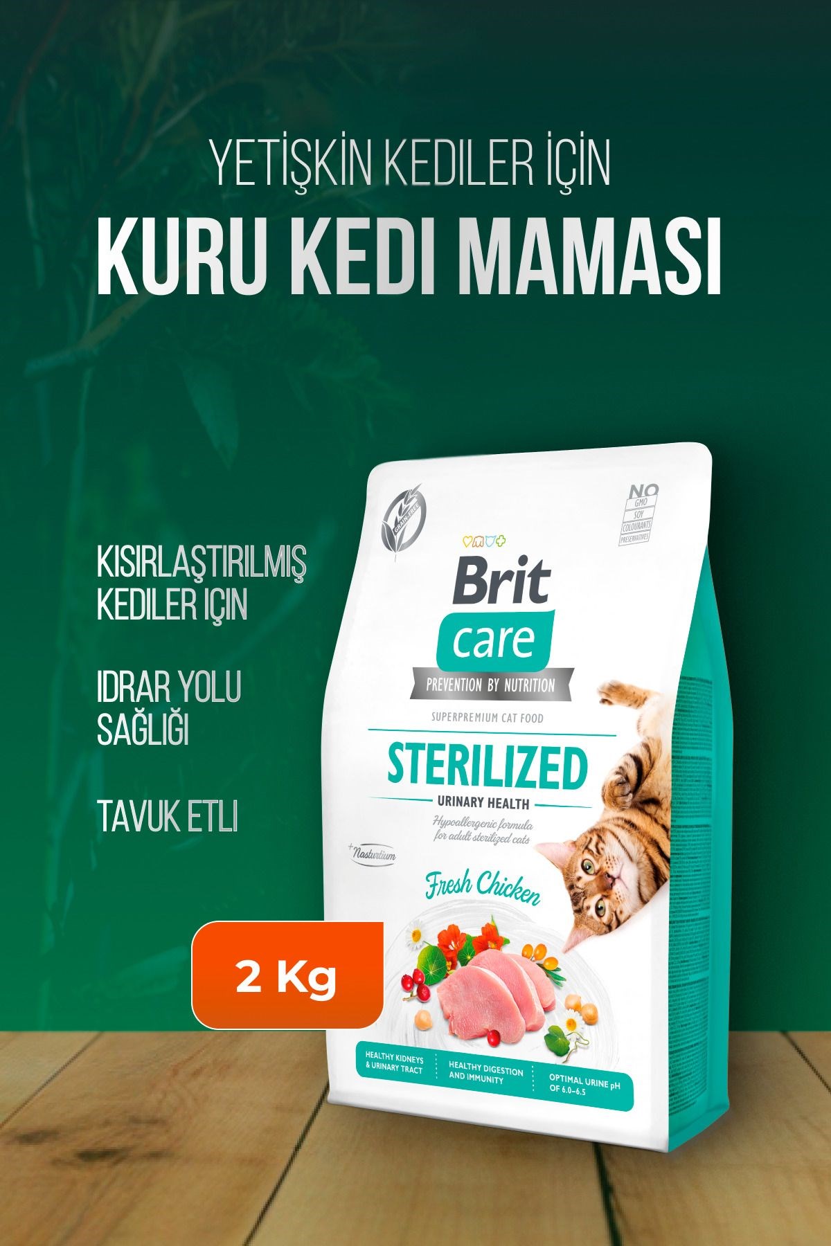 Sterilized Urinary Health Tahılsız Tavuk Etli Idrar Sağlığı Için Kısırlaştırışmış Kedi Maması 2 Kg