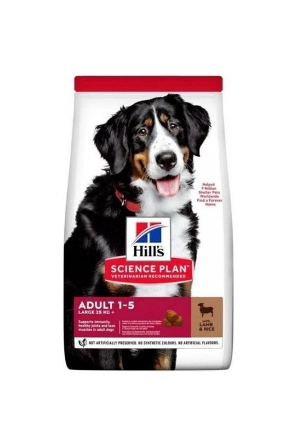 Adult Large Breed Lamb&rice Kuzu Etli Pirinçli Büyük Irk Yetişkin Köpek Maması 14 kg